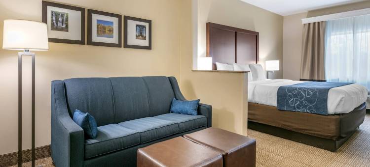 贝茨维尔舒适套房酒店(Comfort Suites)图片