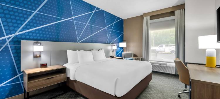 金斯波特东南舒适酒店(Comfort Inn Kingsport Southeast)图片