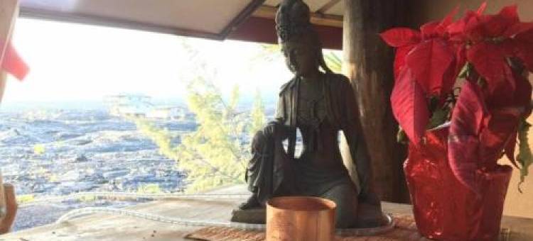 魔法熔岩神庙公寓，享壮观火山景观!(The Magical Lava Temple with Epic Volcano Views!)图片