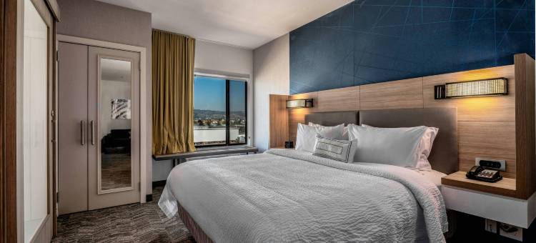 奥克兰机场SpringHill Suites酒店(SpringHill Suites Oakland Airport)图片