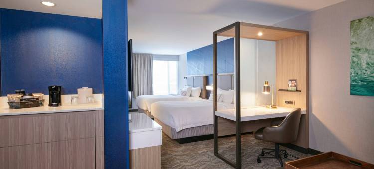 底特律威克森万豪SpringHill Suites酒店(SpringHill Suites by Marriott Wixom Novi)图片