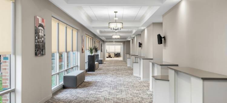 芝加哥唐纳斯格罗夫欢朋套房酒店(Hampton Inn & Suites by Hilton Downers Grove Chicago)图片