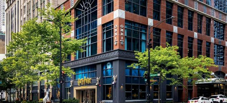 芝加哥欧姆尼酒店(Omni Chicago Hotel)图片