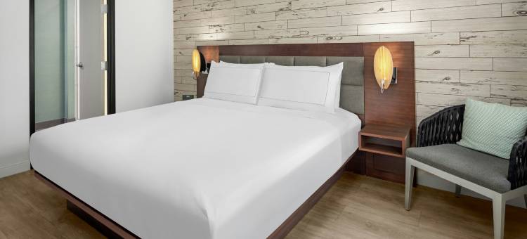 芬恩酒店，希尔顿启缤精选(The Fin Hotel, Tapestry Collection by Hilton)图片