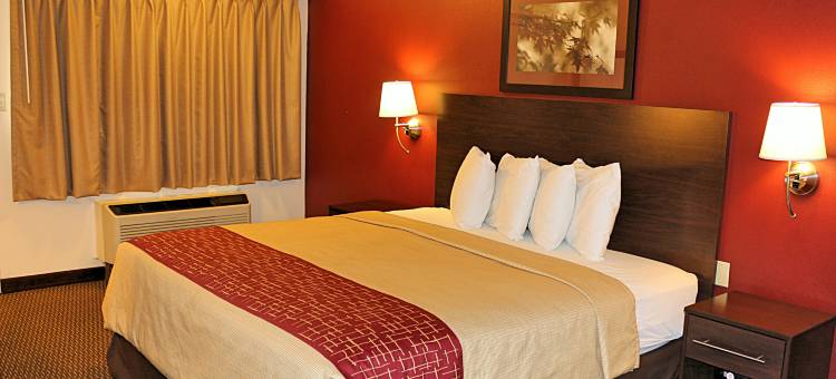 密歇根城红屋顶酒店(Red Roof Inn Michigan City)图片