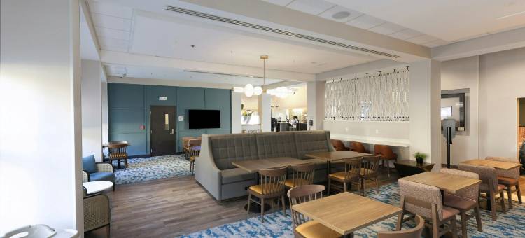 迈阿密椰林珊瑚山墙欢朋酒店(Hampton Inn Miami-Coconut Grove/Coral Gables)图片
