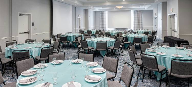 弗赖拉辛达拉斯希尔顿花园酒店(Hilton Garden Inn Dallas Frisco)图片