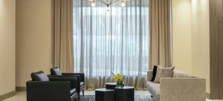 MS千禧蒙特雷酒店-希尔顿格芮精选(MS Milenium Monterrey, Curio Collection by Hilton)图片