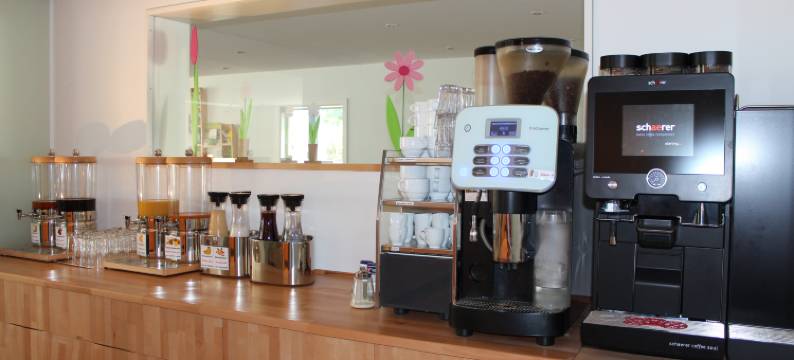 伊姆萨尼格赛尔膳食公寓酒店(Hotel Sunnegässle)图片