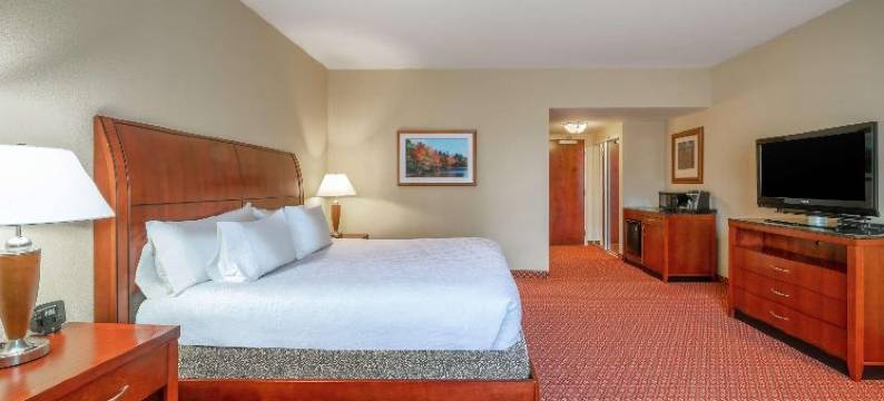 摩根敦希尔顿花园酒店(Hilton Garden Inn Morgantown)图片