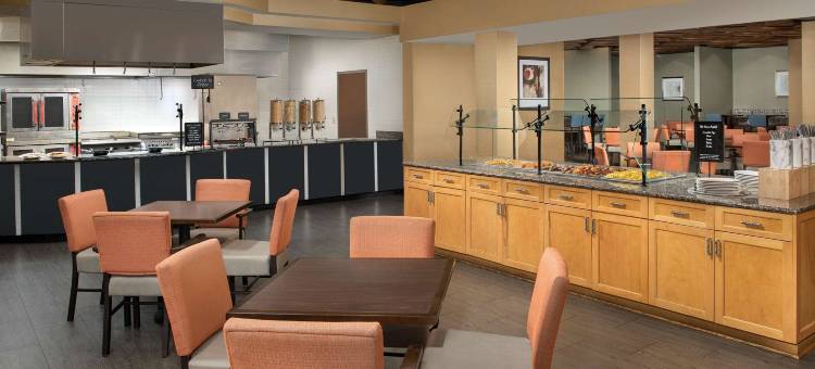 伯明翰胡佛希尔顿安泊酒店(Embassy Suites by Hilton Birmingham Hoover)图片