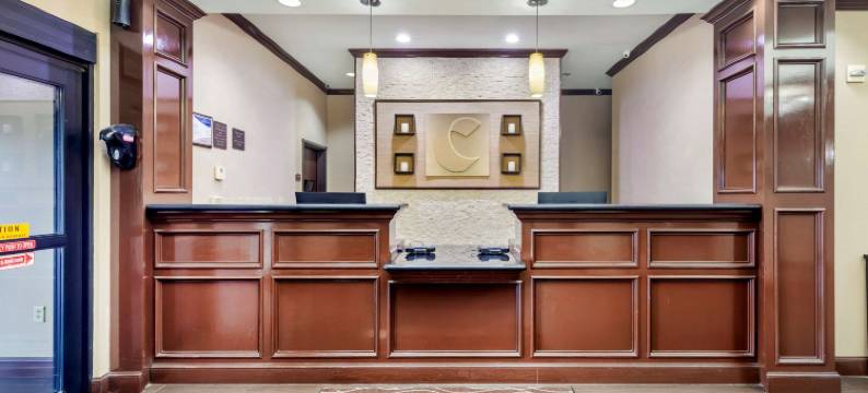 舒适酒店-近UNT(Comfort Inn Near UNT)图片