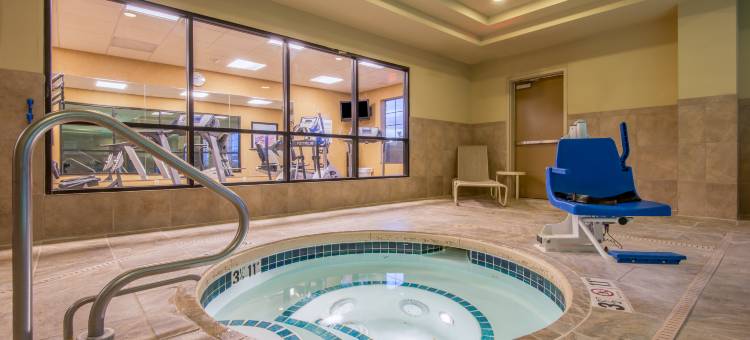 智选假日套房酒店克洛维斯(Holiday Inn Express & Suites Clovis)图片