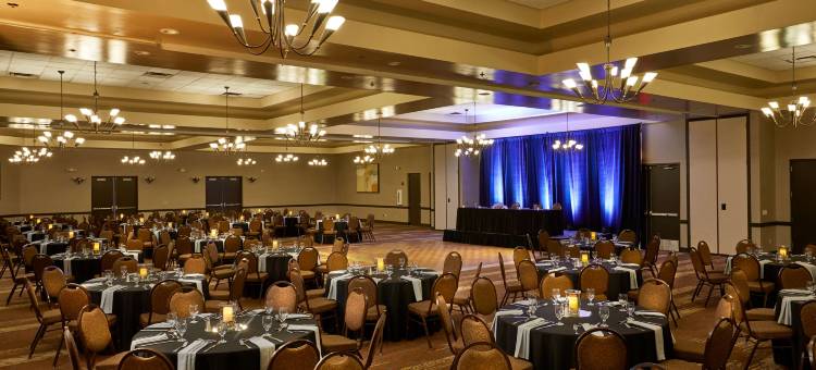 凤凰城斯科特代尔希尔顿安泊酒店(Embassy Suites by Hilton Phoenix Scottsdale)图片