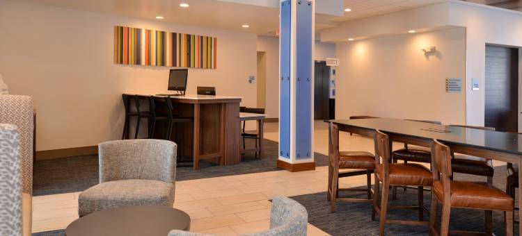 智选假日套房酒店-布赖顿南/US 23公路(Holiday Inn Express & Suites Brighton South - US 23)图片