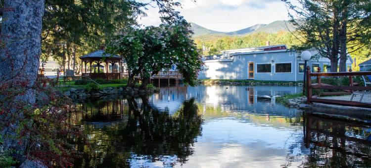 Woodwards White Mountain Resort, BW Signature Collection图片