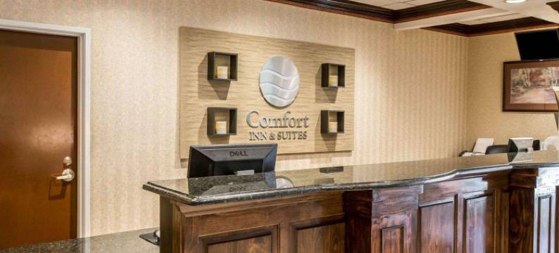 舒适酒店及套房斯帕坦堡北(Comfort Inn & Suites at I-85)图片