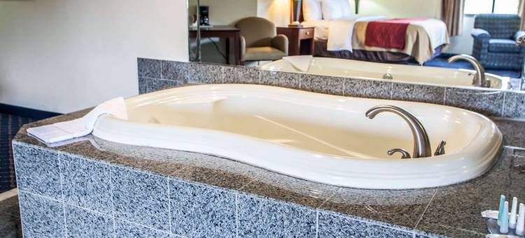 费斯特维尔-特雷弗斯舒适酒店(Comfort Inn Feasterville - Trevose)图片