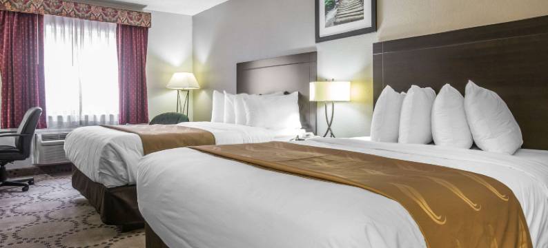 南亚特兰大斯托克布里奇品质酒店(Quality Inn Stockbridge Atlanta South)图片