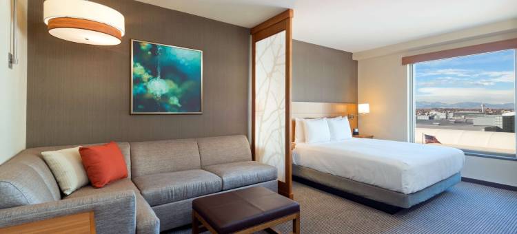 丹佛市中心凯悦嘉轩酒店(Hyatt Place Denver Downtown)图片