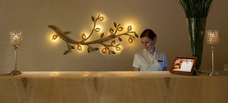 圣彼得堡狮子广场四季酒店(Four Seasons Hotel Lion Palace St. Petersburg)图片