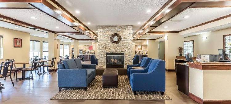 舒适套房酒店-达拉斯北(Comfort Suites North Dallas)图片