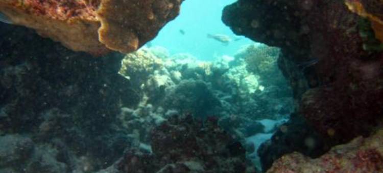 珊瑚湾宁乐酒店 - 湾景(Ningaloo Coral Bay – Bayview)图片