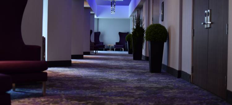 渥太华市中心希尔顿花园酒店(Hilton Garden Inn Ottawa Downtown)图片