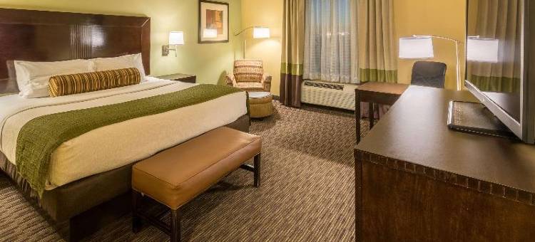 邓肯维尔达拉斯贝斯特韦斯特优质酒店(Best Western Plus Duncanville Dallas)图片