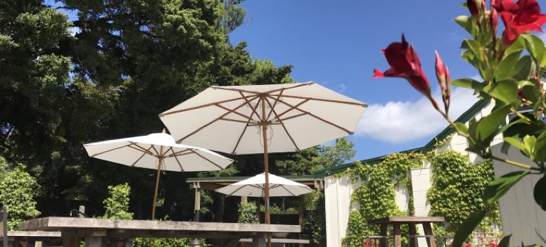 桥楼旅馆(Bridgehouse Lodge)图片