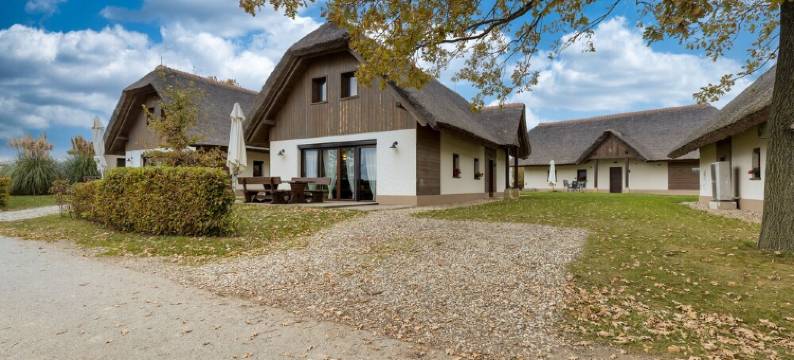 帕农尼安别墅12号(Pannonian Villa 12)图片