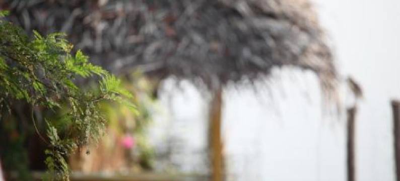 Malayalam Lake Resort图片