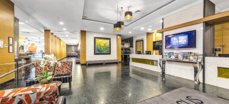 飞马公寓式酒店(Pegasus Apart'Hotel)图片