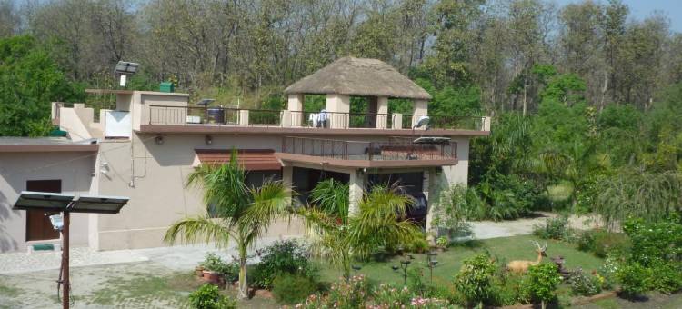 V度假村杜和瓦荒野露营地(V Resorts Dudhwa Wilderness Camp)图片