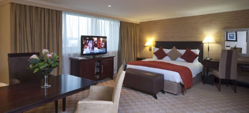 南太阳OR塔波国际机场酒店(Southern Sun or Tambo International Airport)图片