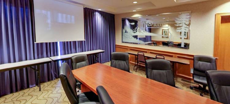 舒适套房酒店(Comfort Suites Salem)图片