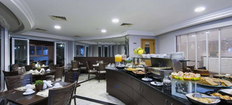 伊比拉普埃拉舒适酒店(Comfort Ibirapuera)图片
