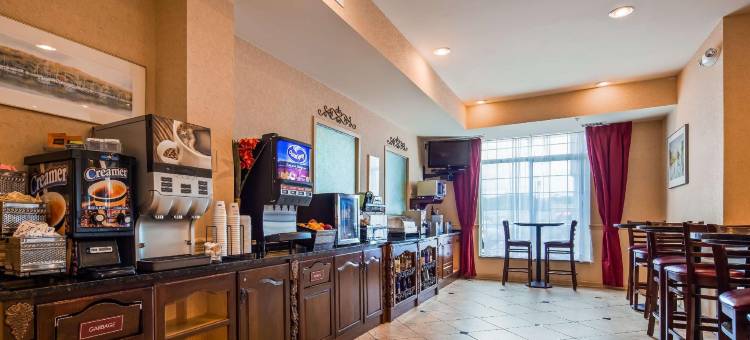 葡萄园贝斯特韦斯特优质套房酒店(Best Western Plus Vineyard Inn  Suites)图片