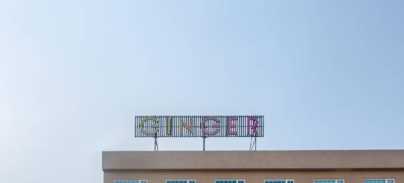 苏拉特市中心姜之酒店(Ginger Surat City Centre)图片