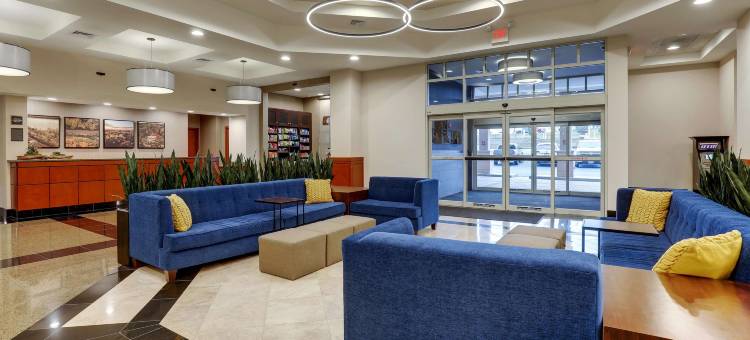 圣路易斯-阿诺德德鲁里套房酒店(Drury Inn & Suites St. Louis Arnold)图片