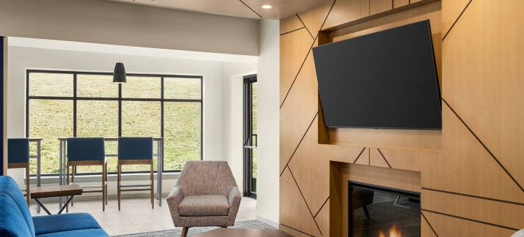 智选假日套房酒店东格林布什(奥尔巴尼蓝天)(Holiday Inn Express & Suites East Greenbush(Albany-Skyline))图片