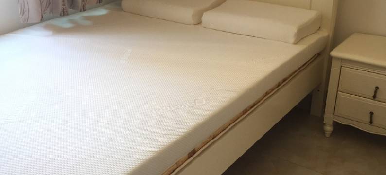 唐燕兰公寓(龙华街分店)图片