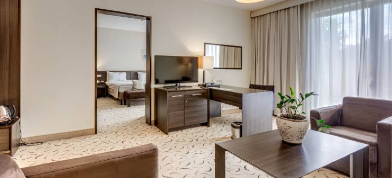 Holiday Inn Resort 华沙 - 约瑟夫乌(Holiday Inn Resort WARSAW - JOZEFOW by IHG)图片