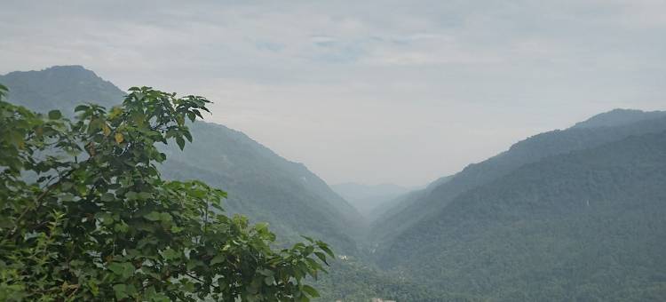青城山清溪楼农家乐图片