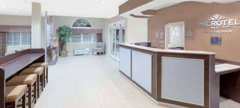 奥索卡温德姆麦客达套房酒店(Microtel Inn & Suites by Wyndham Ozark)图片