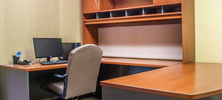 舒适酒店及套房-汉堡-南布法罗(Comfort Inn & Suites Hamburg - Buffalo South)图片