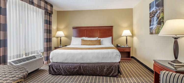 布里奇波特贝斯特韦斯特优质酒店(Best Western Plus Bridgeport Inn)图片