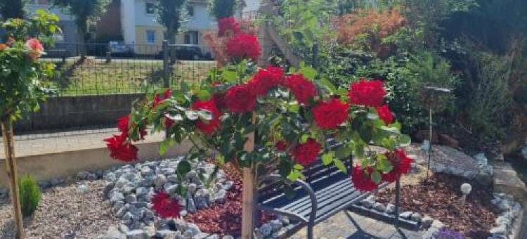 Fewo-Kreiensen图片