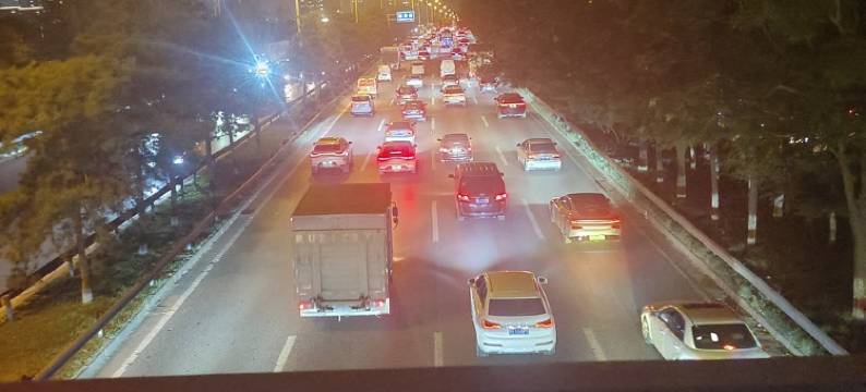 梧桐树知家公寓(鱼丁路分店)图片