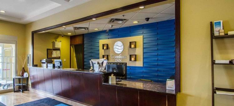 舒适酒店(Comfort Inn)图片
